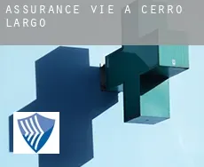 Assurance vie à  Cerro Largo