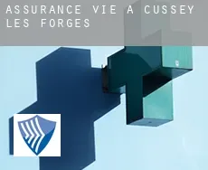 Assurance vie à  Cussey-les-Forges