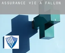 Assurance vie à  Fallon