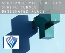 Assurance vie à  Hidden Spring