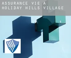 Assurance vie à  Holiday Hills Village