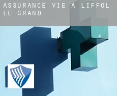 Assurance vie à Liffol-le-Grand