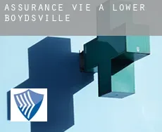 Assurance vie à  Lower Boydsville