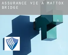 Assurance vie à  Mattox Bridge