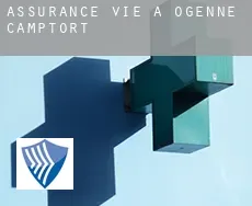 Assurance vie à Ogenne-Camptort