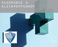 Assurance à  Kleinpoppenhof