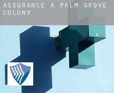 Assurance à  Palm Grove Colony