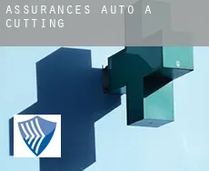 Assurances auto à Cutting