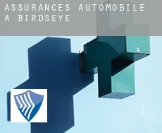 Assurances automobile à  Birdseye