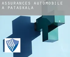 Assurances automobile à  Pataskala