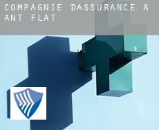 Compagnie d'assurance à  Ant Flat