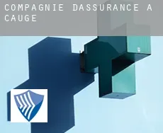Compagnie d'assurance à  Caugé
