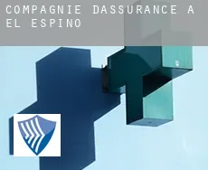 Compagnie d'assurance à  El Espino
