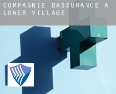 Compagnie d'assurance à Lower Village