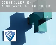 Conseiller en assurance à  Big Creek