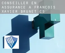 Conseiller en assurance à  François-Xavier-Brunet (census area)