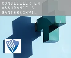 Conseiller en assurance à Ganterschwil