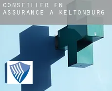 Conseiller en assurance à Keltonburg