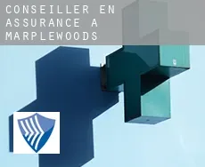 Conseiller en assurance à Marplewoods