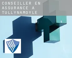 Conseiller en assurance à  Tullynamoyle