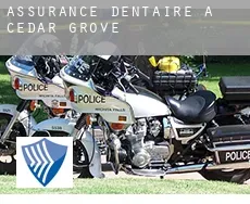 Assurance dentaire à  Cedar Grove