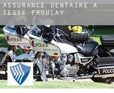 Assurance dentaire à Tessé-Froulay