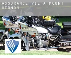 Assurance vie à Mount Hermon