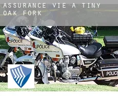 Assurance vie à  Tiny Oak Fork
