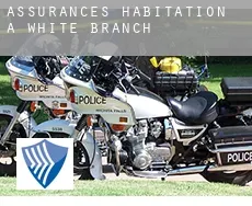 Assurances habitation à White Branch