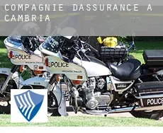 Compagnie d'assurance à  Cambria