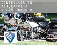 Conseiller en assurance à  Krennerhäuser