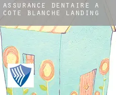 Assurance dentaire à  Cote Blanche Landing