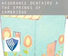 Assurance dentaire à  The Springs of Cambridge