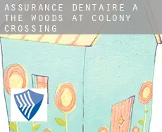 Assurance dentaire à  The Woods at Colony Crossing