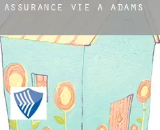 Assurance vie à  Adams