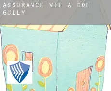 Assurance vie à Doe Gully