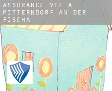 Assurance vie à  Mitterndorf an der Fischa