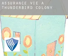 Assurance vie à  Thunderbird Colony