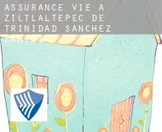 Assurance vie à Ziltlaltepec de Trinidad Sanchez Santos