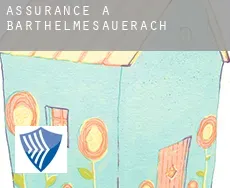 Assurance à  Barthelmesauerach