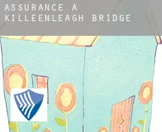 Assurance à  Killeenleagh Bridge