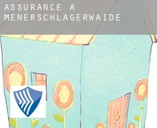 Assurance à  Meßnerschlagerwaide