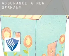 Assurance à  New Germany