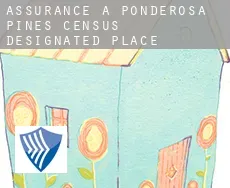 Assurance à  Ponderosa Pines