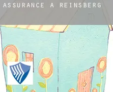 Assurance à  Reinsberg