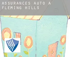 Assurances auto à Fleming Hills