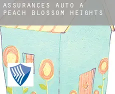 Assurances auto à Peach Blossom Heights