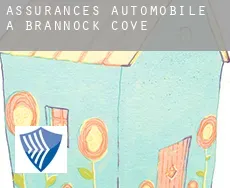 Assurances automobile à  Brannock Cove