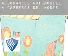 Assurances automobile à  Cabreros del Monte