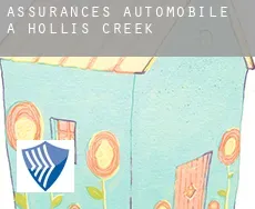 Assurances automobile à  Hollis Creek